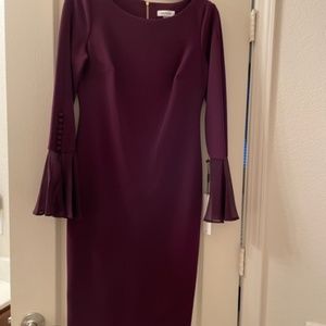 Calvin Klein Chiffon Long Sheer Bell Sleeve Sheath Dress